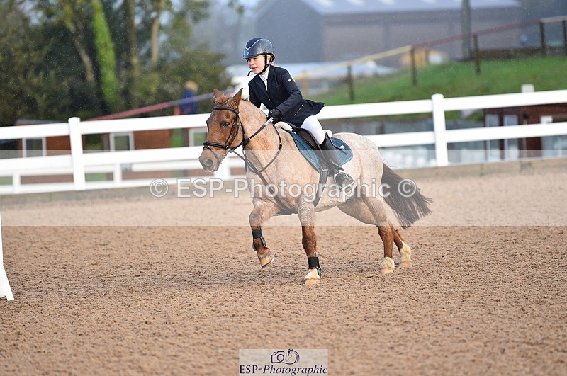 231028A-102232-00393 - Cls 1 Pony 70cm