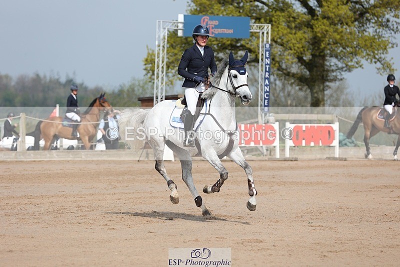 250424-102011-02959 - Cls 33 Young Horse 7yr old