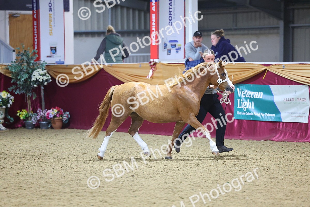 SBM_18937 - Class F Grass Roots Champ