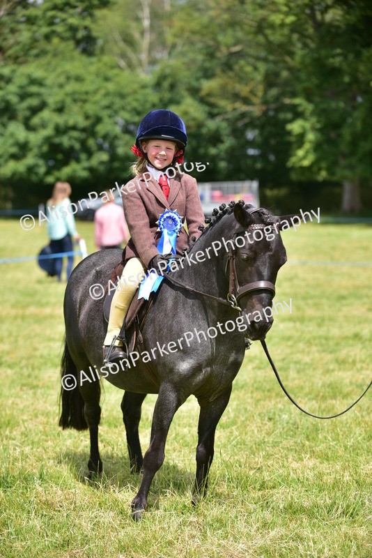 20260614-1405 - Class 11b - Lead Rein Pony (Plaited)