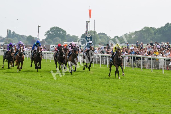 170524-Race 2-Botanical-7667 - Race 2 2.45pm Knights Solicitors Handicap