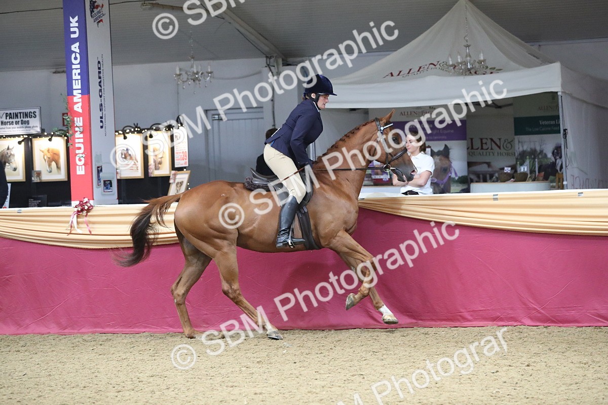 SBM_12329 - Class 108 Ridden Retired Racehorse- Pre Judging