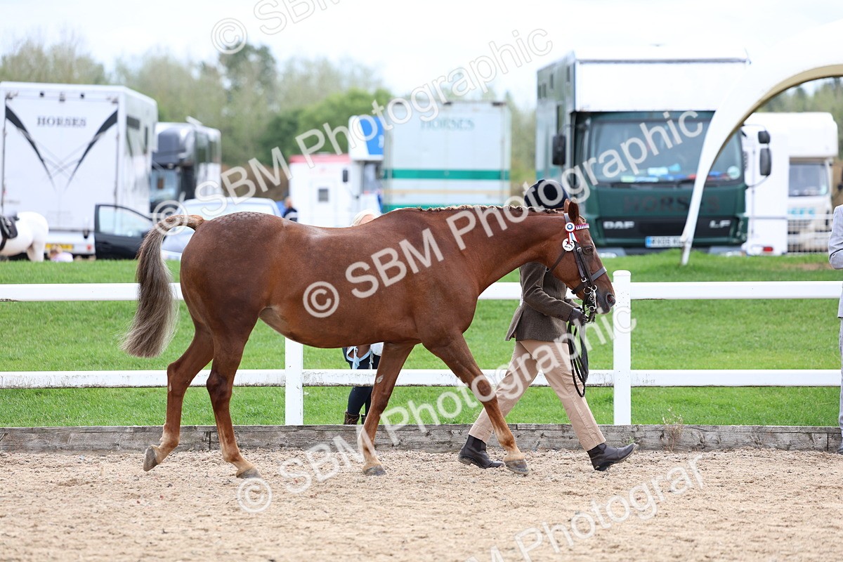 SBM_05823 - Class 29 - IH Veteran Pony