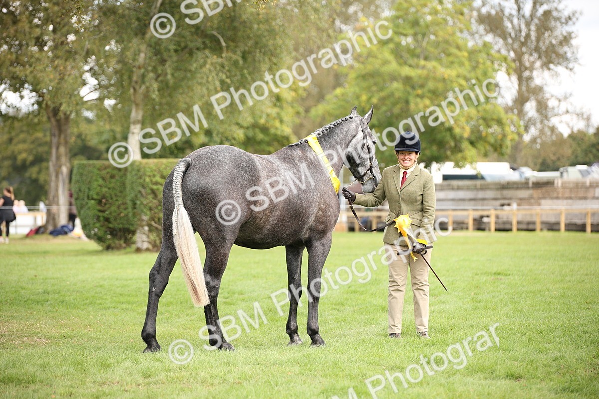 SBM_62920 - In Hand Horse Supreme Championship