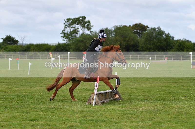 WJ5_2271 - Class 2 40cm