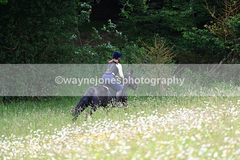 WJ7_8573 - Group 1 10am