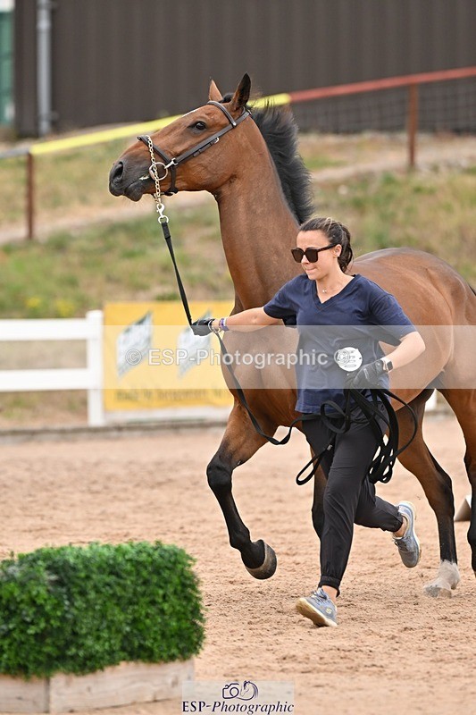 250716-160242-02358 - Trot Up 3.30 to 4.30