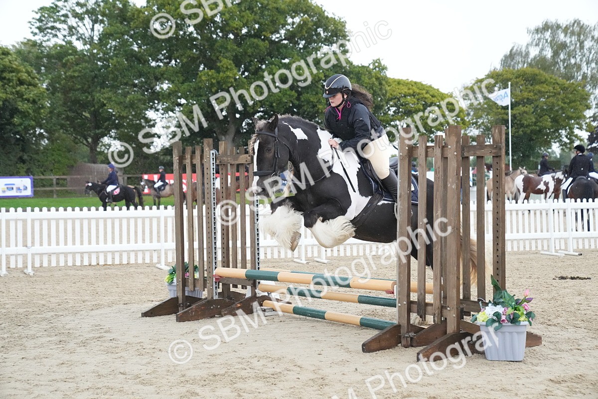 SBM_01583 - J54 - Clear Round 50cm