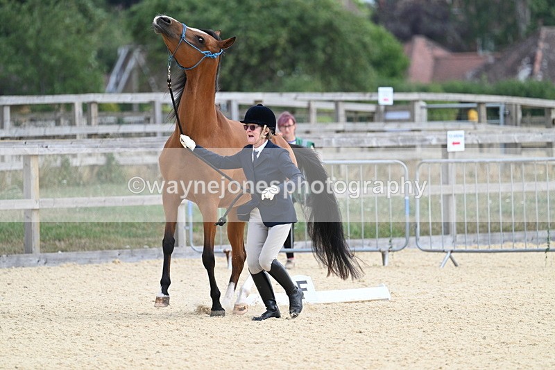 WJ7_1848 - In Hand
