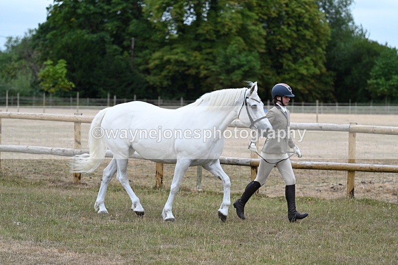 WJ7_8743 - Class 4a Prettiest Mare 14.2hh and over