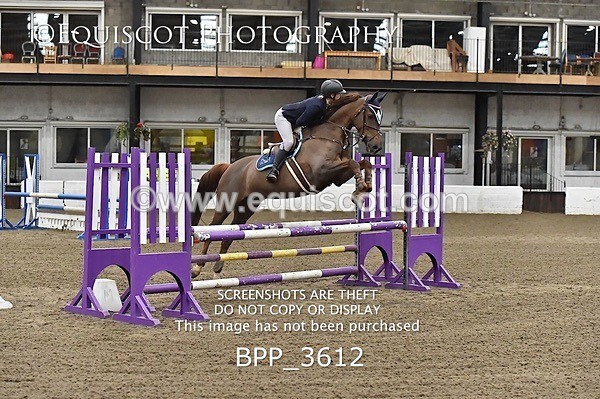 BPP_3612 - FRI CLASS 21 BR NOVICE/90CM