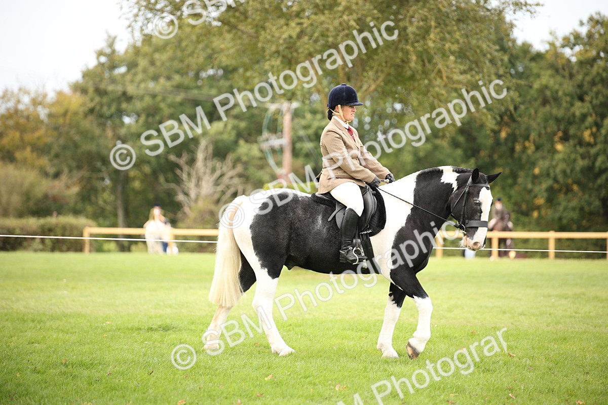 SBM_72347 - S67 - Show Cob Ridden