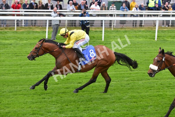 yr11052022r1-28 - Race 1 1.50pm Sky Bet Race to the Ebor Jorvik Stakes