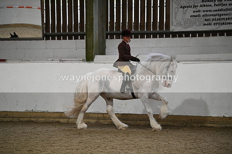 WJ7_4417 - Class 17 Ridden Cob