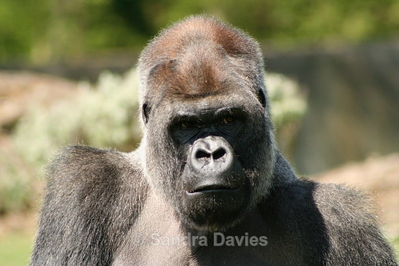  - Wildlife & People