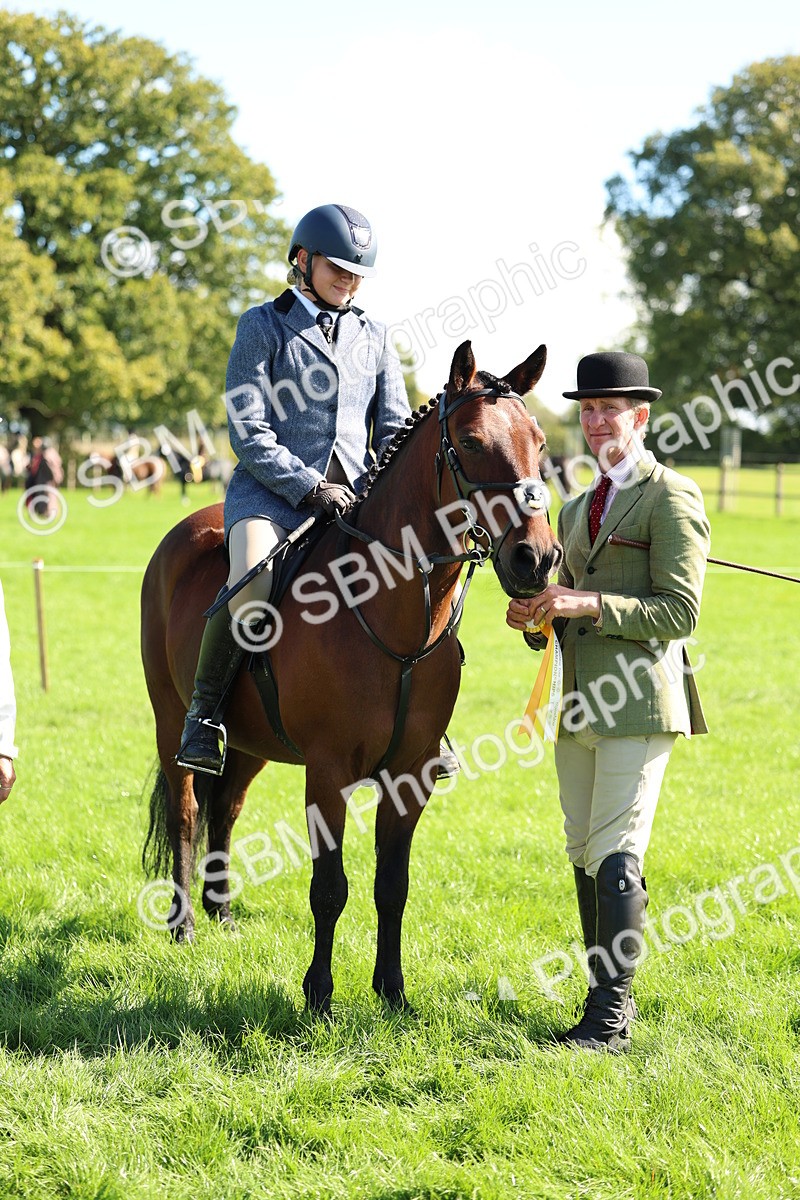 SBM_45440 - S33 - Working Hunter Pony