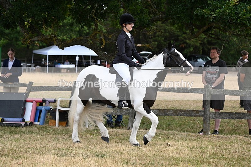 WJ6_3909 - Class 9 Tack & Turnout