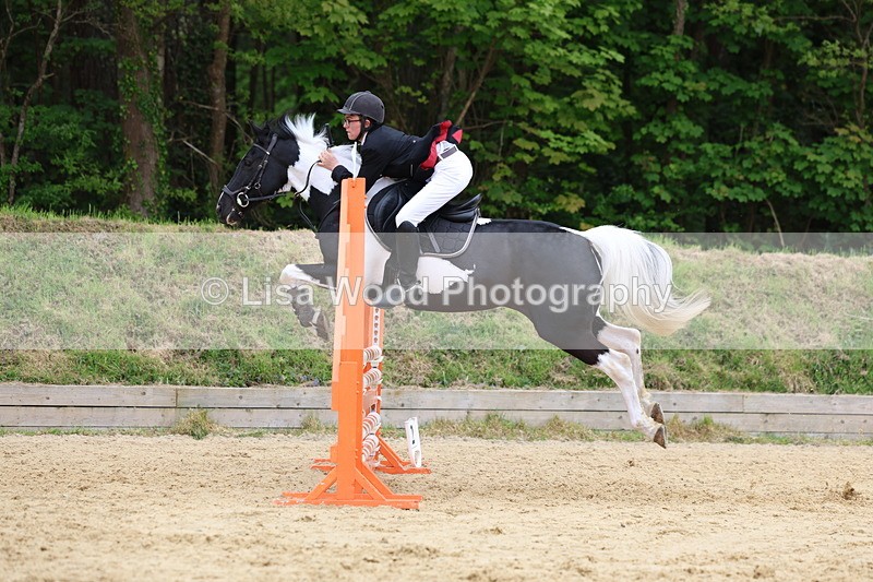 3E7A6503 - Class 4: Senior British Novice/90cm open