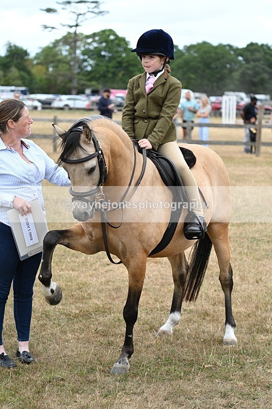 WJ7_7395 - Class 2 Best Rider