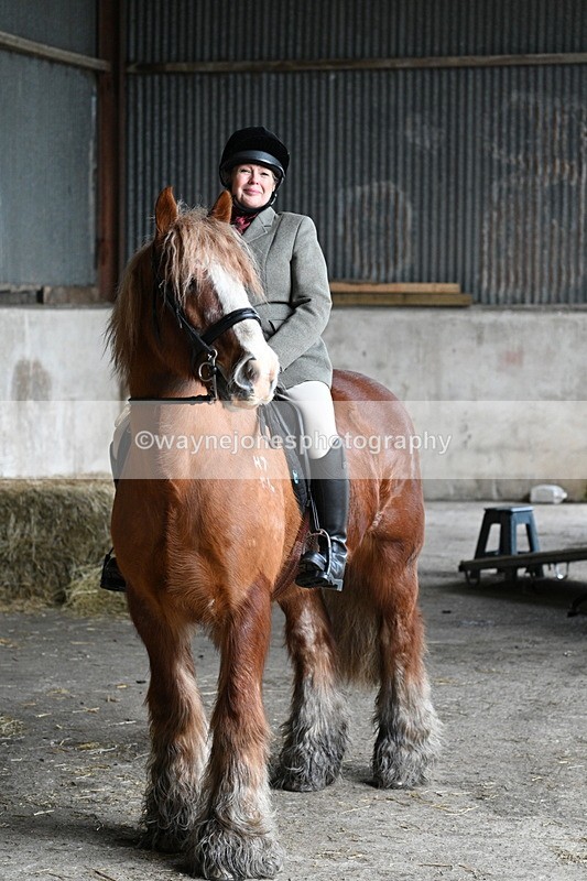 WJ7_8666 - Berks & Bucks - Rowles Farm 15-02-26