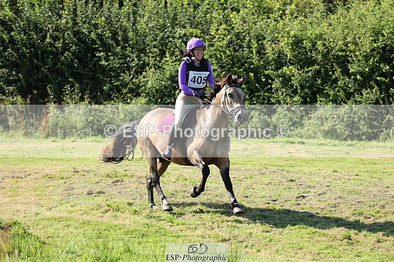 240811A-170309-06927 - 405-