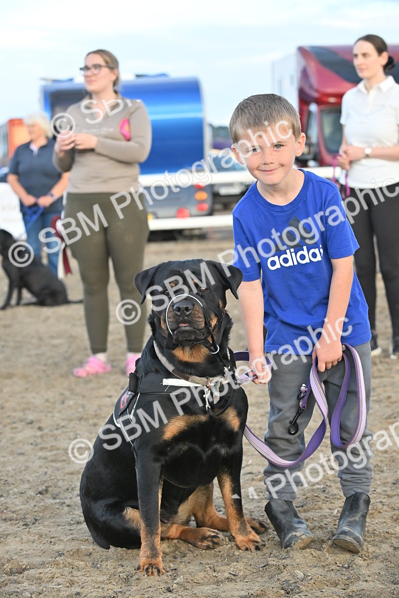 SBM_09623 - Lorry Dogs