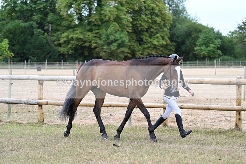 WJ7_8789 - Class 4a Prettiest Mare 14.2hh and over
