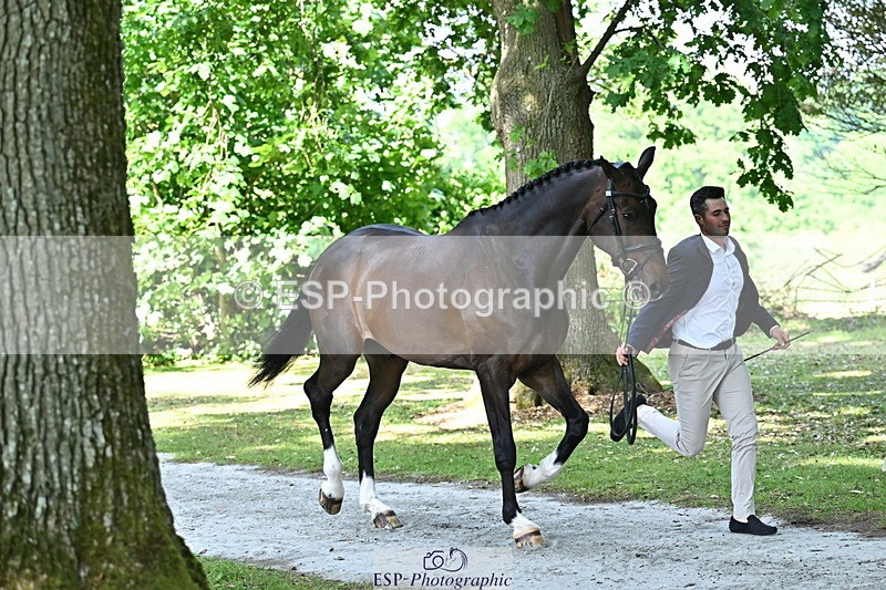 250521A-155001-00788 - B-372-Stephen.Heal-HISCO