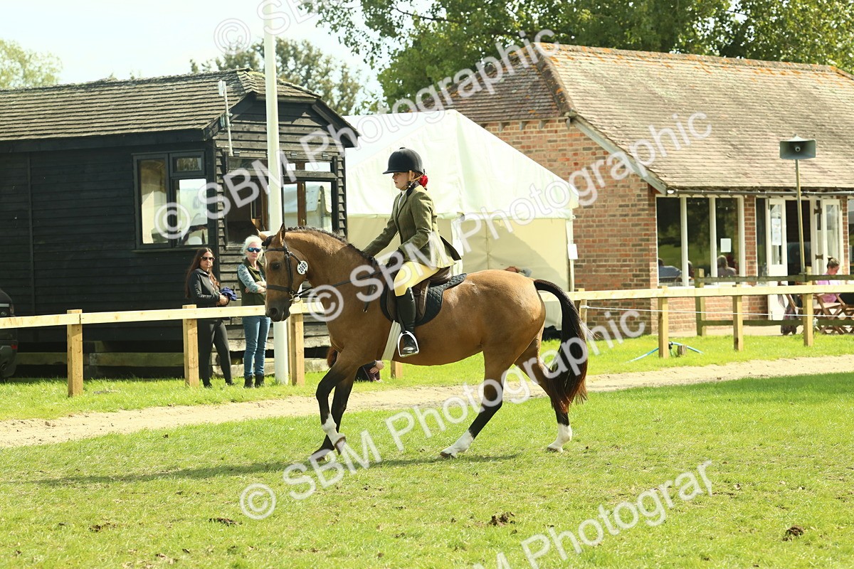 SBM_68872 - S58 - Mini Show Cob Ridden