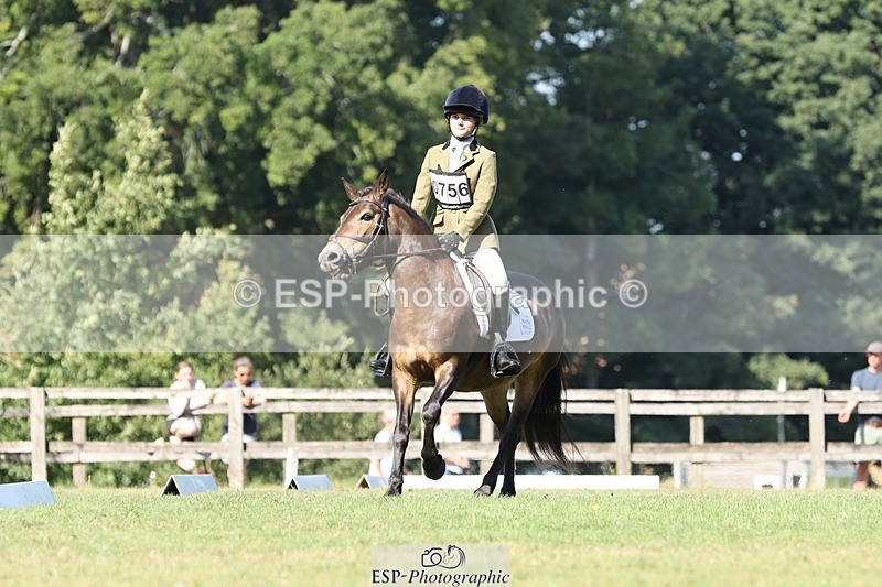 250823A-103306-27730 - Arena D