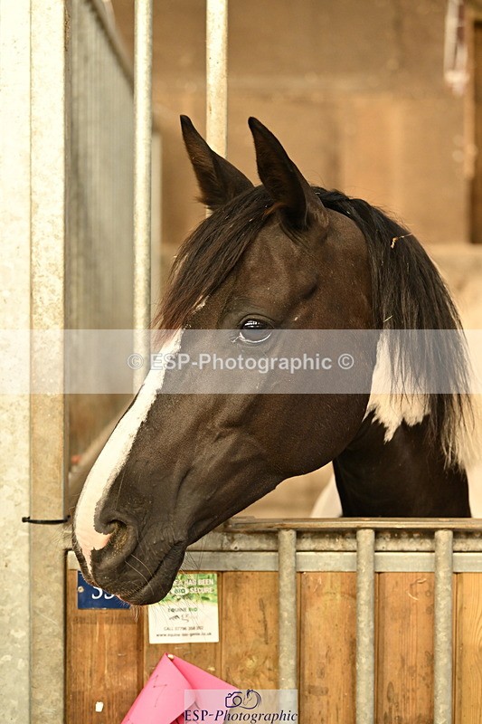 240809A-084802-00015 - Stable Shots