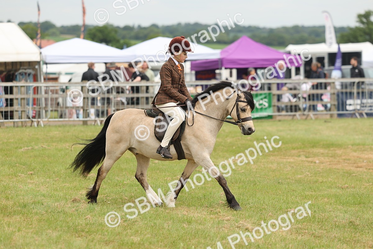 SBM_07109 - Class 76-77 - Ridden M&M Welsh Ponies