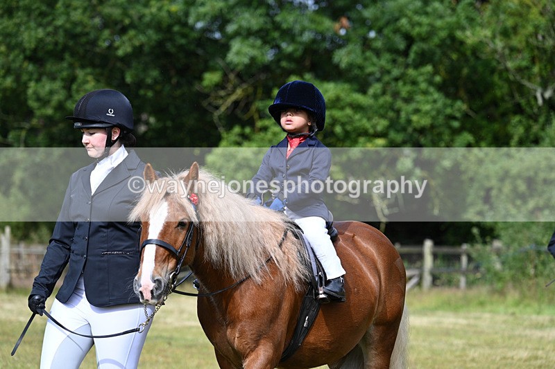 WJ7_4348 - Class 1 Lead Rein Pony