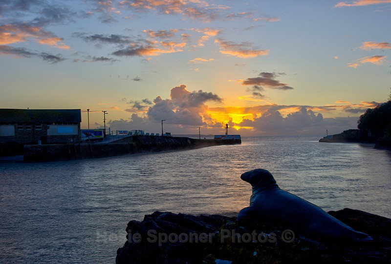 Nelson at sunrise in Looe - Looe