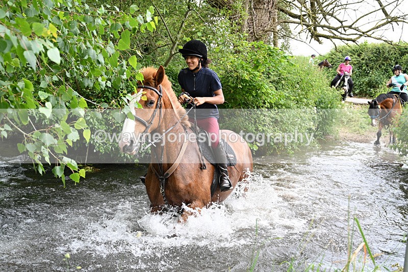 WJ7_2448 - Camera 2 Water Crossing
