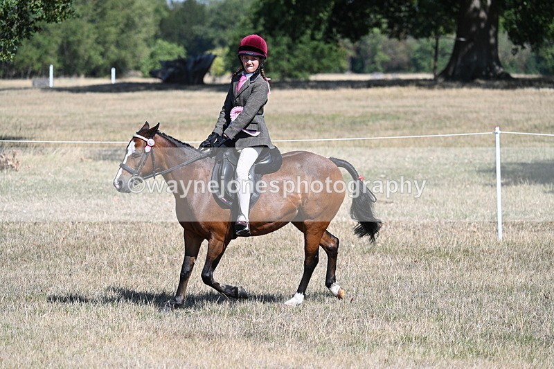 WJ7_4254 - Class 9 Mountain & Moorland Ridden