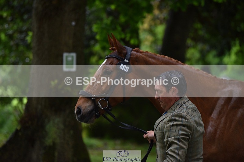240522-152656-00349 - 356-CREEVAGHSTABLES_IFICUDIWUD-Tim_Cheffings