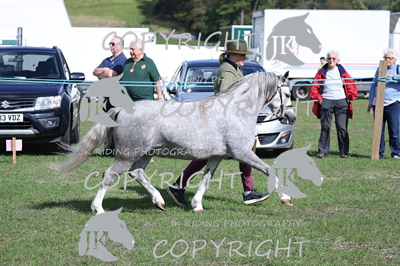 APP_2779 - Class 10a/b M&M in hand