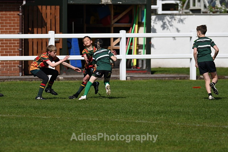  - Selby Rugby Festival 2025