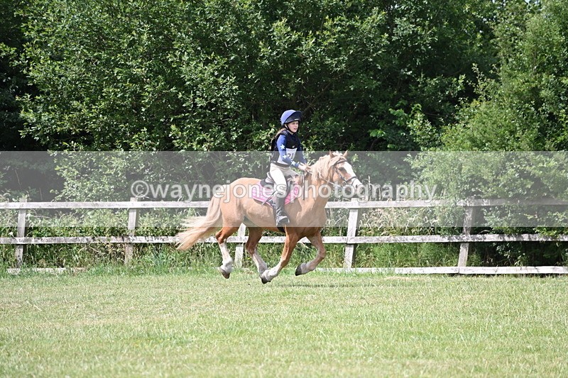 WJ6_6858 - 80cm XC Pairs