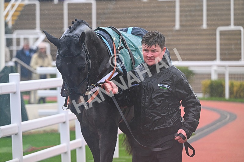 141125-Race 2-Mister Coffey-9261 - Race 2