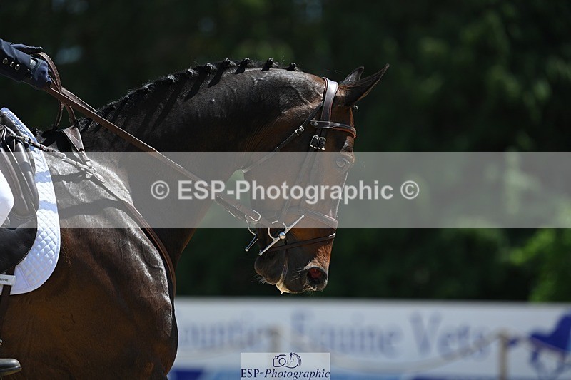 230526-135129-06833 - 479-DASSETT_SELECT-Kate_Rocher-Smith-DR