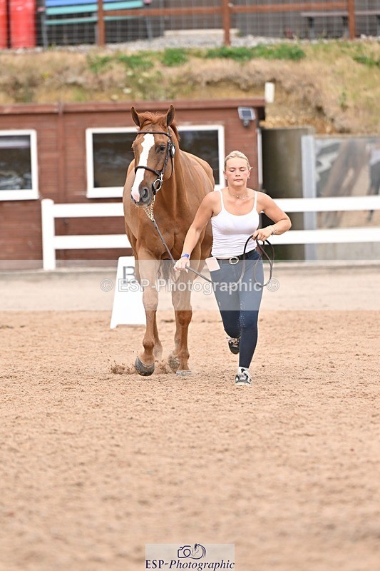 250716-163021-02648 - Trot Up 4.30 to 5.00