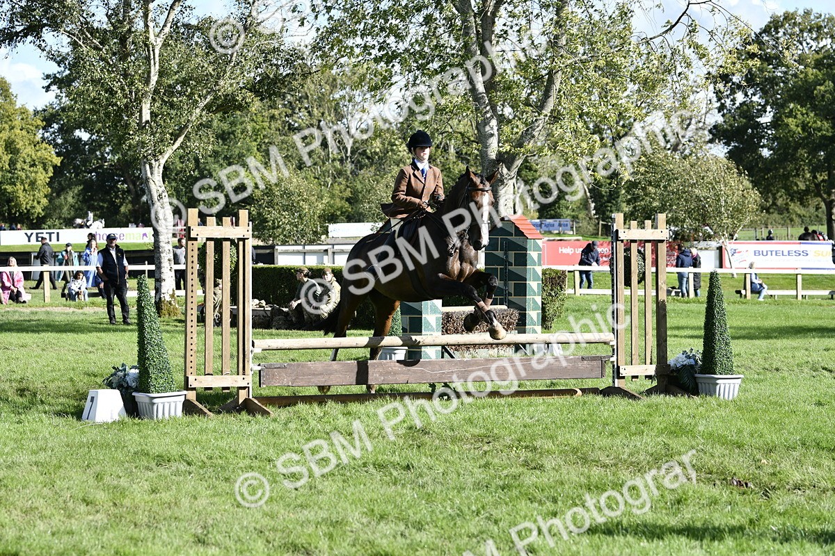 SBM_50006 - S34 - Novice & Newcomers Working Hunter