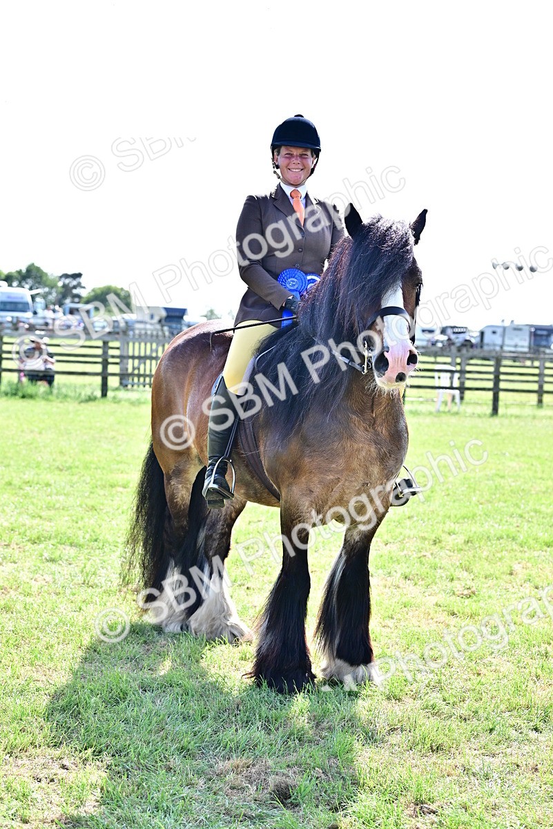 SBM_09504 - Class 63-65 - Traditional Gypsy Cobs In Hand & Ridden