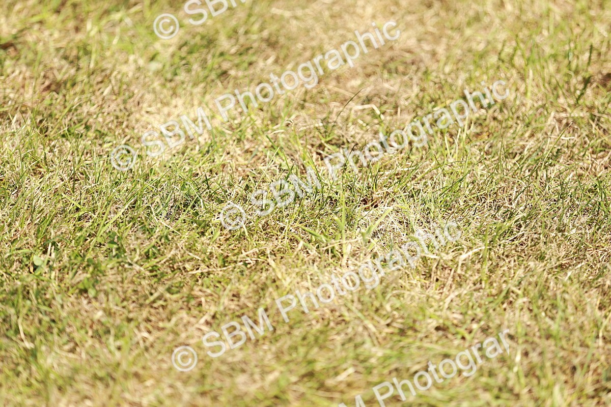 SBM_04313 - Class 39-40 - BSPA Coloured In Hand