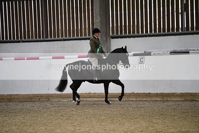 WJ5_6480 - Class 9 Ridden Veteran