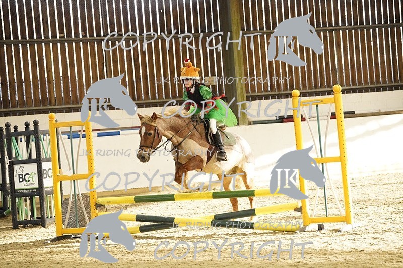 _DSC3270 - 50cm/60cm Pairs