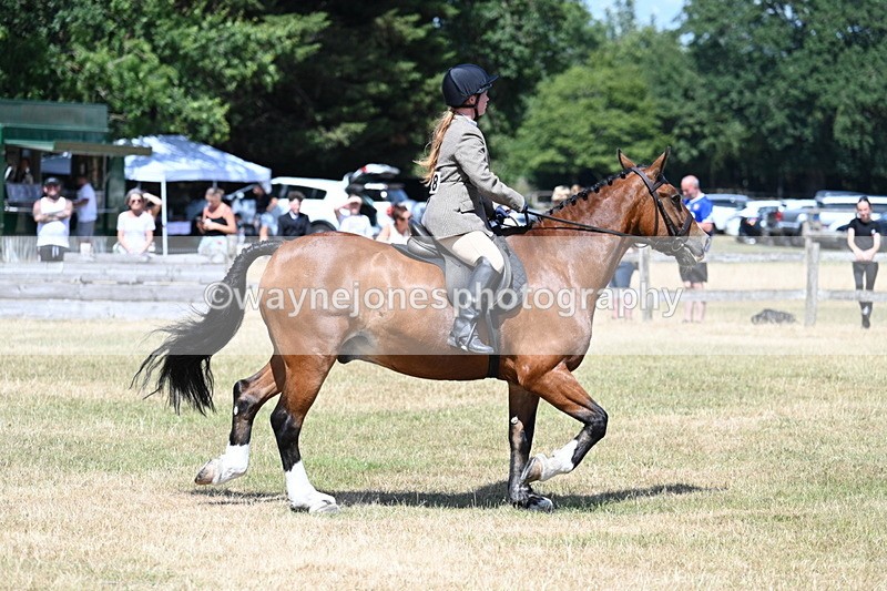 WJ7_3490 - Class 8 Ridden Veterans