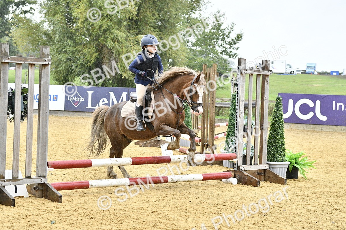 SBM_70870 - J3 - Mini Tour Junior Pony 40cm championship